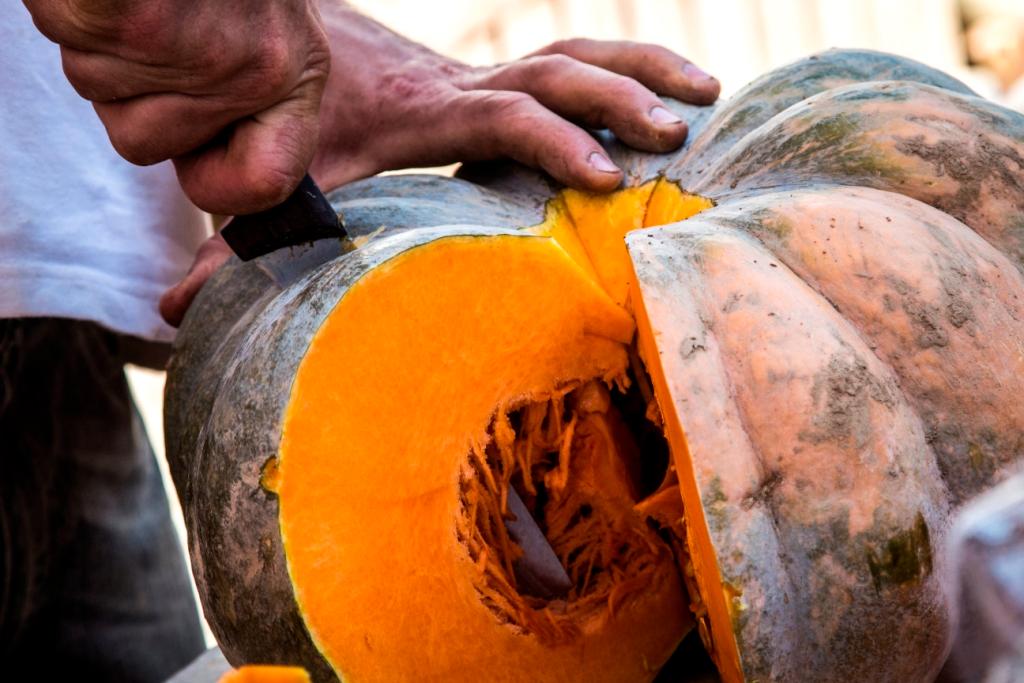 FIERA NAZIONALE DELLA ZUCCA